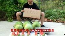 吃瓜娱乐搞笑视频大全,笑料横生！吃瓜娱乐搞笑视频大盘点