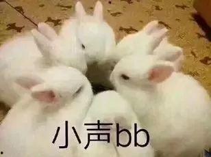 兔兔娱乐吃瓜,揭秘娱乐圈吃瓜背后的真相与趣味
