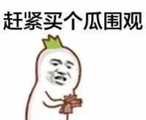 人间疾苦娱乐吃瓜酱,揭秘娱乐圈背后的酸甜苦辣