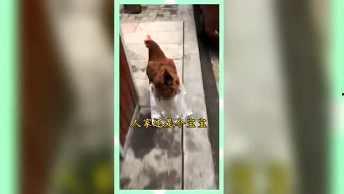 娱乐吃瓜群众分享,揭秘明星幕后故事