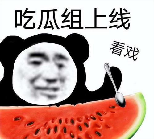 娱乐吃瓜君励志,从吃瓜达人到励志偶像的蜕变之路