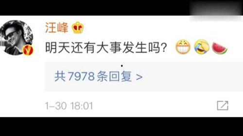 吃瓜娱乐助手,吃瓜娱乐助手带你探秘明星生活