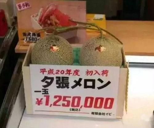 吃大瓜娱乐报,揭秘娱乐圈最新热点，带你畅游八卦海洋