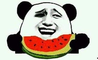 娱乐吃瓜君遛鸟大师,遛鸟大师的传奇人生