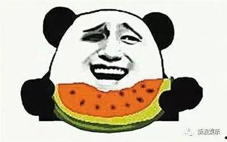 娱乐吃瓜菌感动,见证娱乐圈感动瞬间