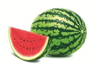 娱乐吃瓜模板图,揭秘明星们的幕后故事与精彩瞬间