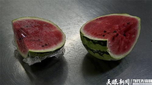 吃瓜娱乐菌,吃瓜娱乐菌带你探秘明星生活