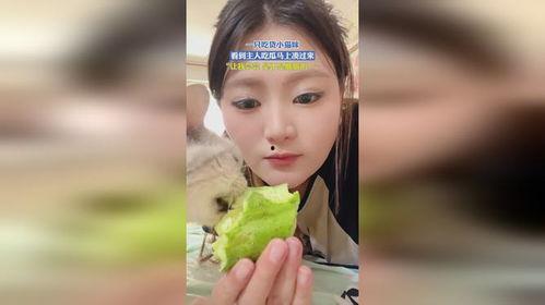 小主儿娱乐吃瓜,揭秘娱乐圈幕后故事