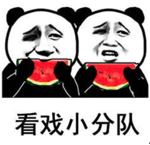 娱乐吃瓜梗,吃瓜群众必备的瓜田秘闻