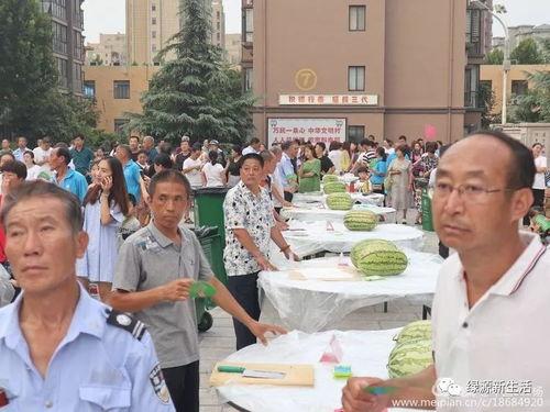 娱乐吃瓜台北现场,吃瓜群众的热闹盛宴