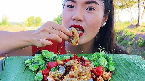 娱乐吃瓜酱柬埔寨骗局,娱乐吃瓜酱背后的真相