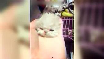 娱乐吃瓜酱妹,揭秘娱乐圈那些不为人知的幕后故事