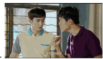 吃瓜追星娱乐,吃瓜追星，娱乐至上