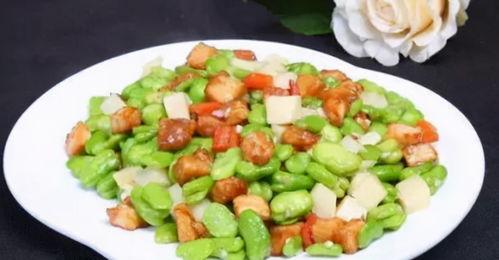 娱乐吃瓜宠物推荐小说,吃瓜群众眼中的萌宠小说