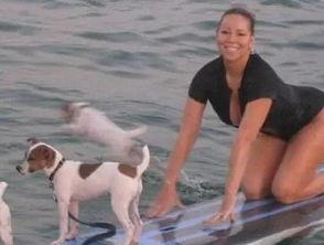 娱乐吃瓜君小狗