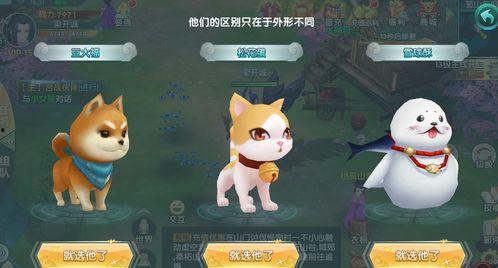 娱乐吃瓜宠物小说,娱乐圈宠物的甜蜜日常