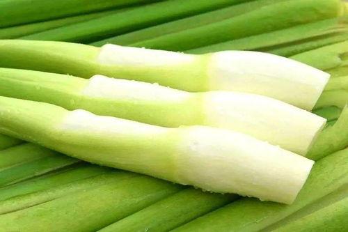 娱乐圈吃瓜吃笋