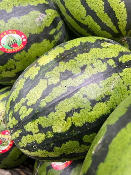 娱乐吃瓜钱,吃瓜群众如何用“钱”解锁明星幕后故事