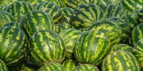 娱乐吃瓜酱边界感,边界感下的趣味解读