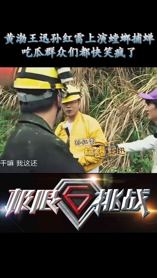 哈哈娱乐吃瓜,吃瓜群众眼中的明星幕后故事